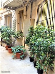 Location appartement meublParis 75009
