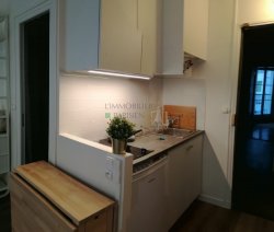 Location appartement meublParis 11 75011