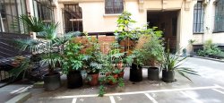 Vente appartement Paris 75010