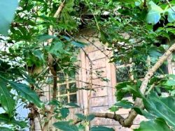 Vente appartement Saint-mande 94160