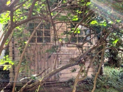 Vente appartement Saint-mande 94160