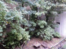 Vente appartement  