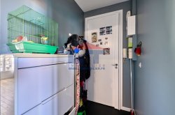 Vente appartement Montreuil 93100