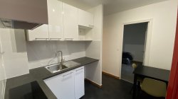 Location appartement meublParis 75015