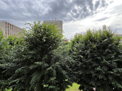 Location studio meubléMeudon La Foret 92360