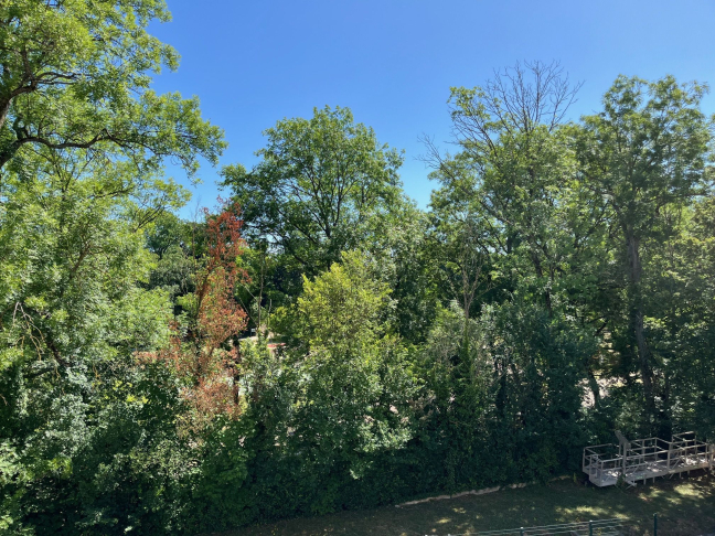 Vente Appartement  3 pices - 63m 92360 Meudon La Foret