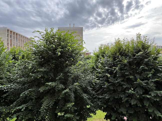 Location studio meubléMeudon La Foret 92360