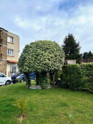Location appartement Villejuif 94800