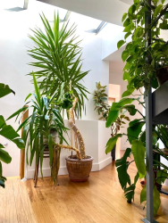 Vente maison Bagnolet 93170