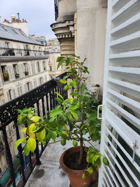 Location Appartement meubl 4 pices - 78m 75009 Paris