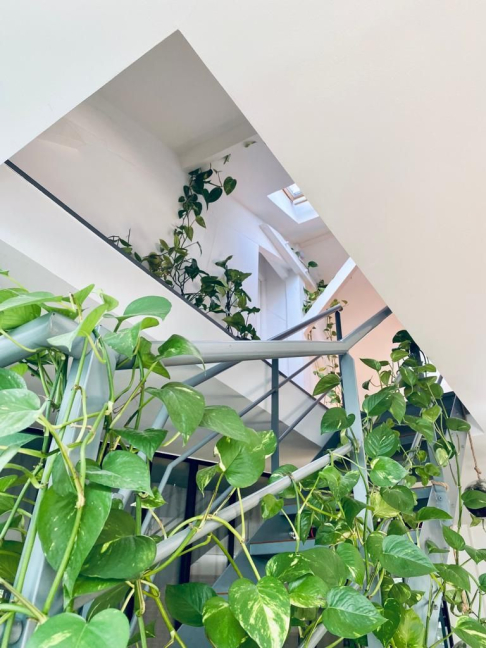 Vente Maison 9 pièces - 220m² 93170 Bagnolet