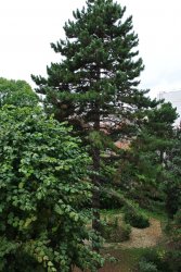 Location appartement meubléVillejuif 94800