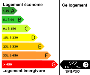 Diagnostic de performance nergtique