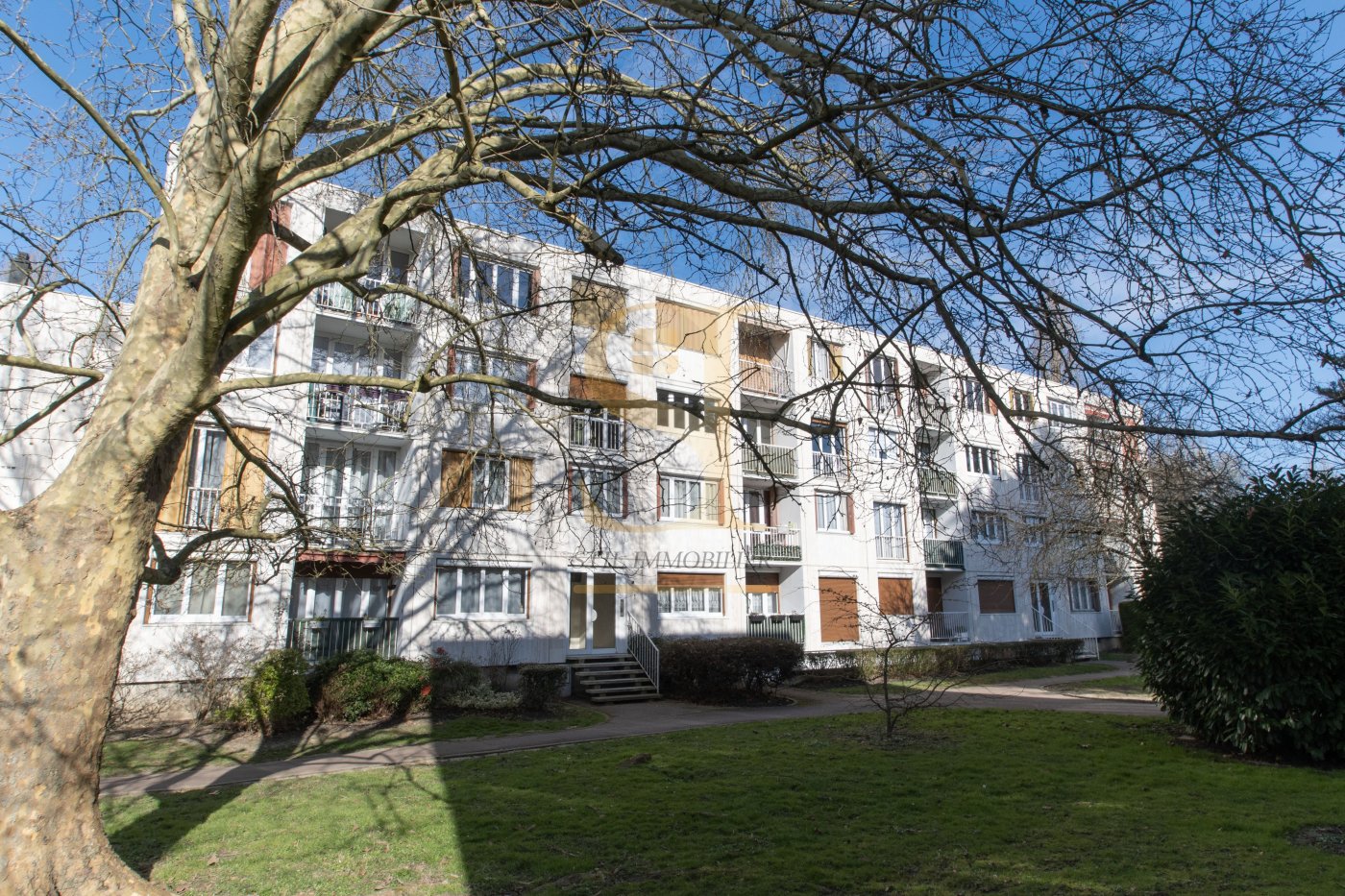 Agence immobilière de STIL Immobilier