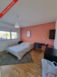 Location appartement Huningue 68330