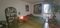 Vente appartement Montreuil 93100