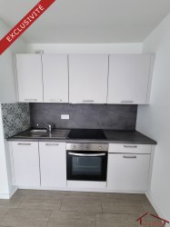 Location appartement Schiltigheim 67300