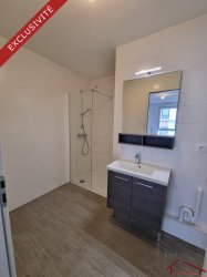 Location appartement Schiltigheim 67300