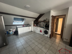 Vente appartement Vauhallan 91430
