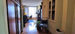 Viager appartement Montrouge 92120
