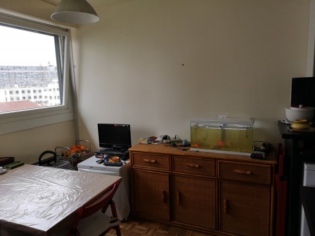 Viager Appartement  2 pices - 52m 75013 Paris